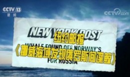 波兰媒体爆料间谍视频,揭秘神秘情报行动